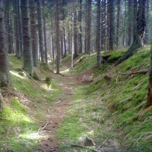 image123
