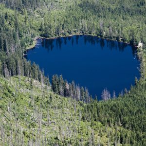 image135